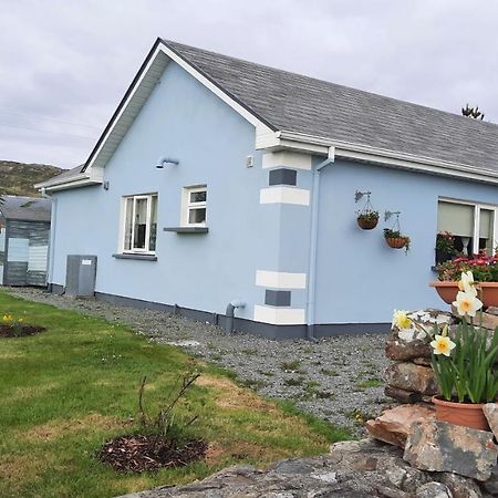 Clifden Wildflower Cottage - Clifden Countryside Lettings Εξωτερικό φωτογραφία