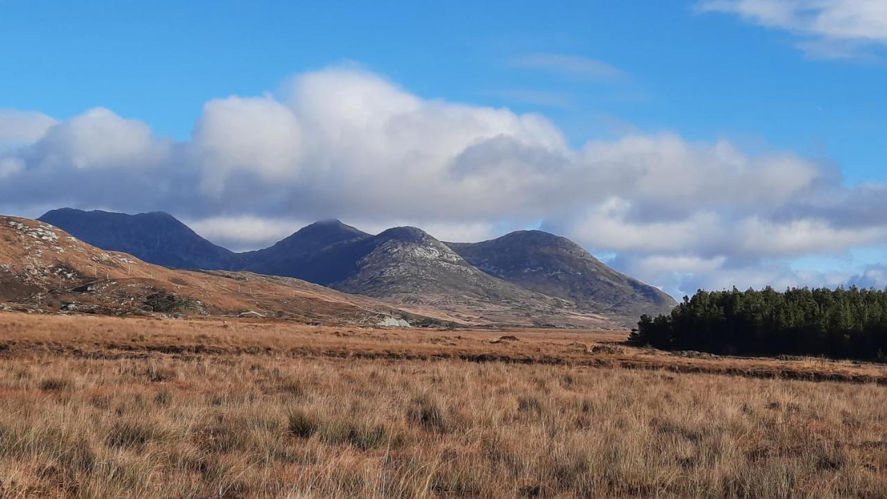 Clifden Wildflower Cottage - Clifden Countryside Lettings Εξωτερικό φωτογραφία