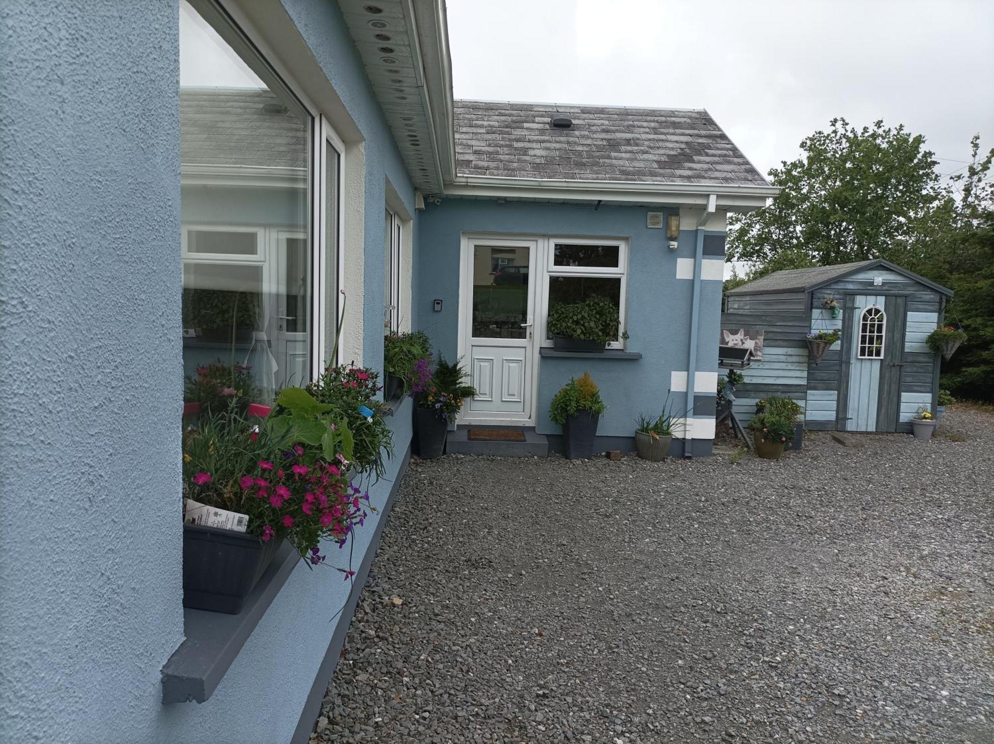 Clifden Wildflower Cottage - Clifden Countryside Lettings Εξωτερικό φωτογραφία