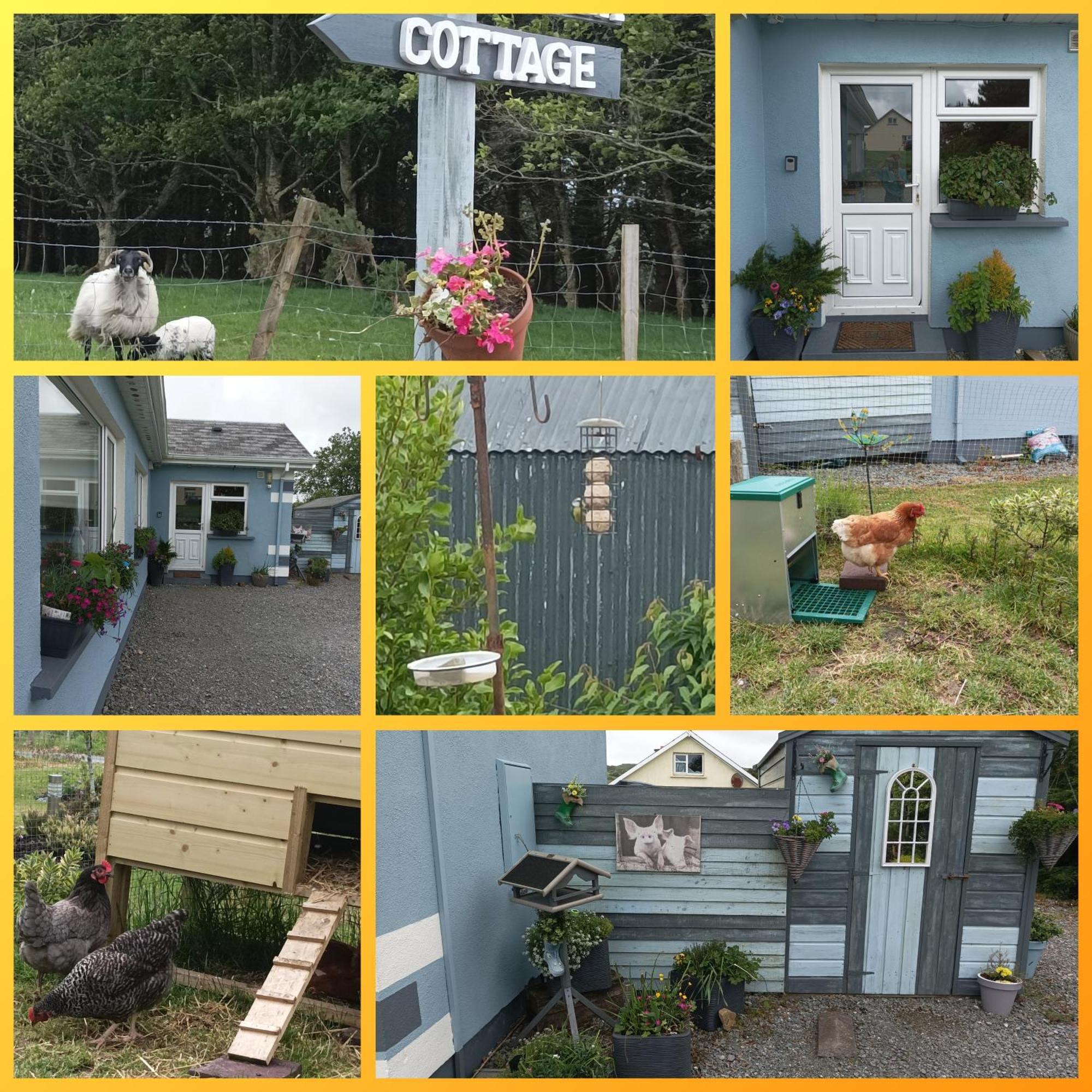 Clifden Wildflower Cottage - Clifden Countryside Lettings Εξωτερικό φωτογραφία