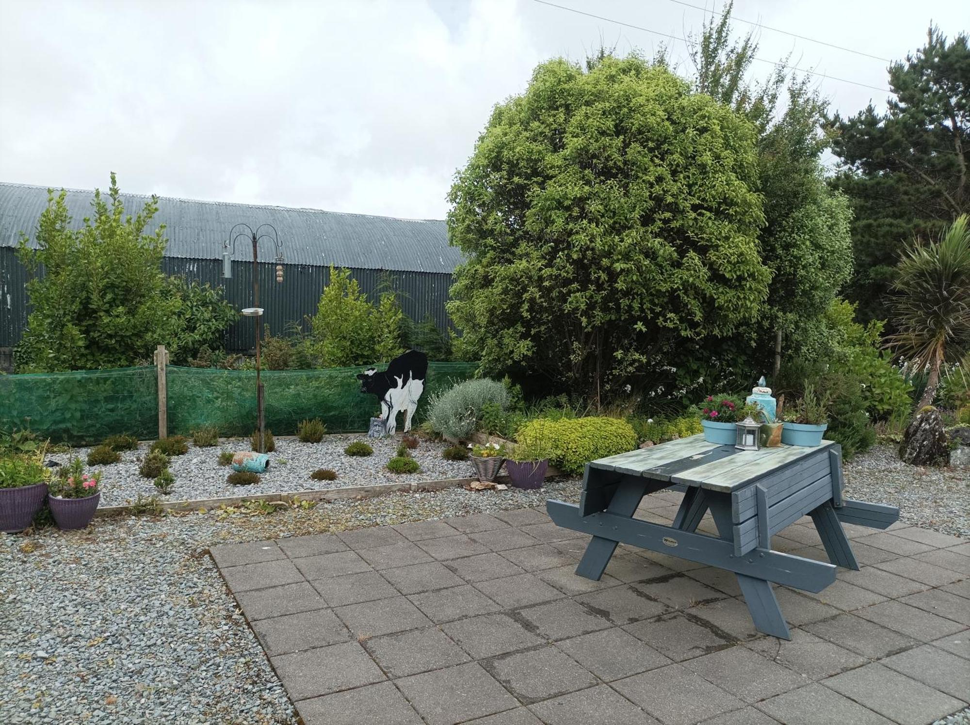 Clifden Wildflower Cottage - Clifden Countryside Lettings Εξωτερικό φωτογραφία